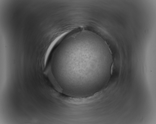 X0000088190037200705221711