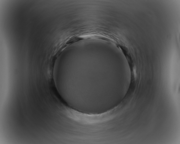 X0000088190039200705221711