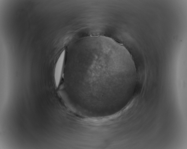 X0000088190041200705221711