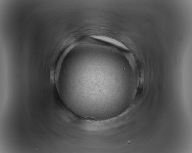 X0000088190045200705221711
