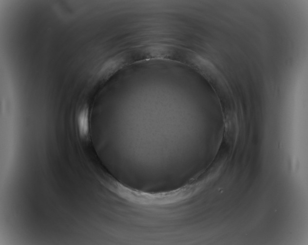 X0000088190046200705221711