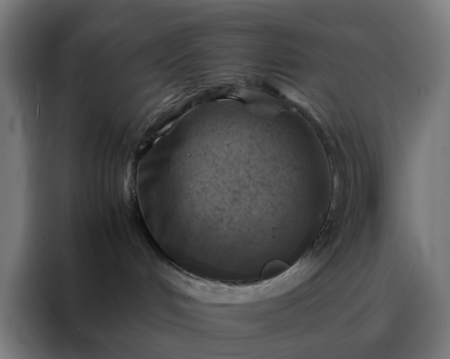 X0000088190048200705221711
