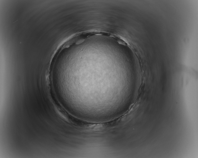 X0000088190050200705221710