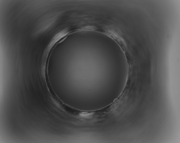 X0000088190051200705221710