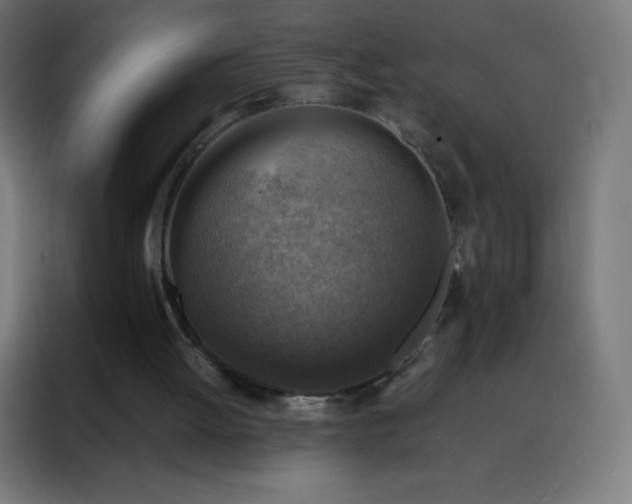X0000088190052200705221710
