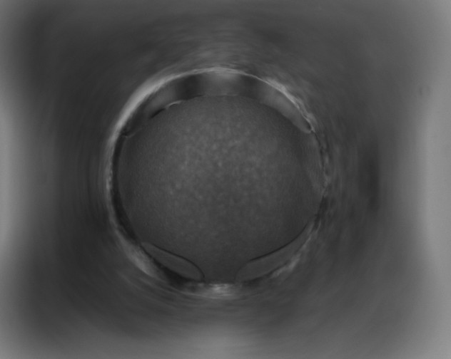 X0000088190056200705221711