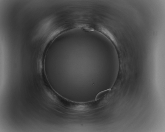 X0000088190059200705221711