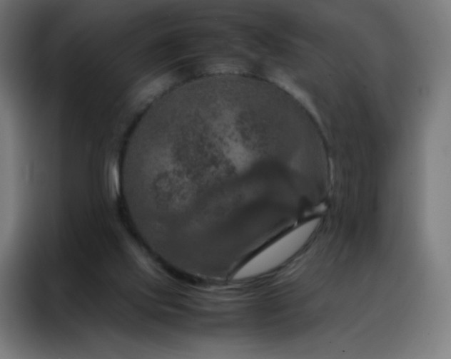 X0000088190061200705221711