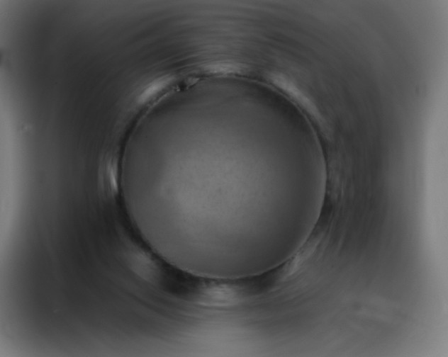 X0000088190062200705221711