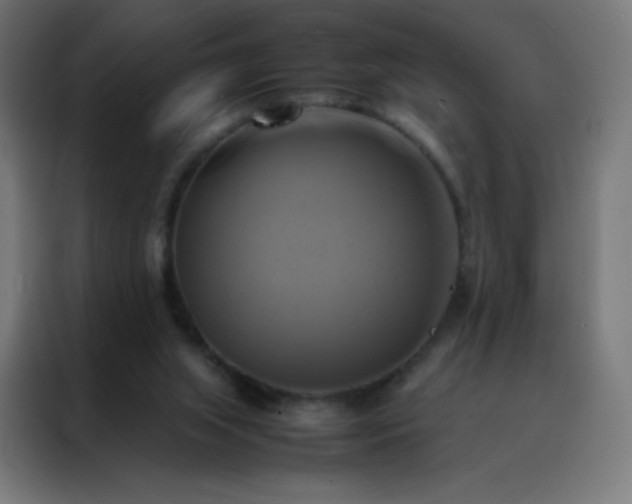 X0000088190063200705221711