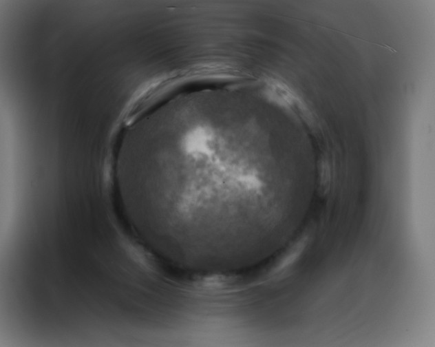 X0000088190064200705221711