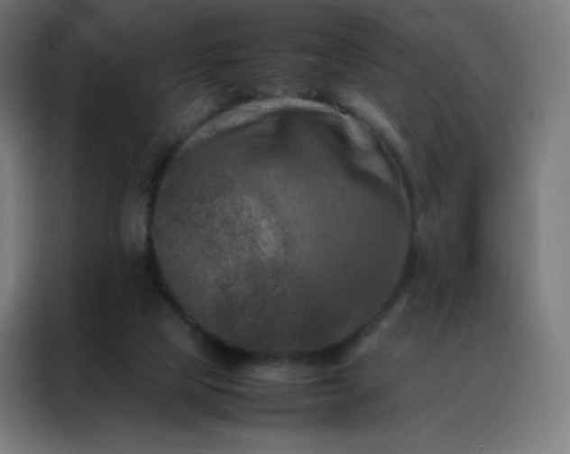 X0000088190065200705221711