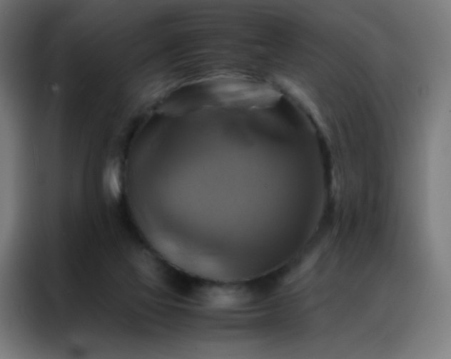 X0000088190069200705221711
