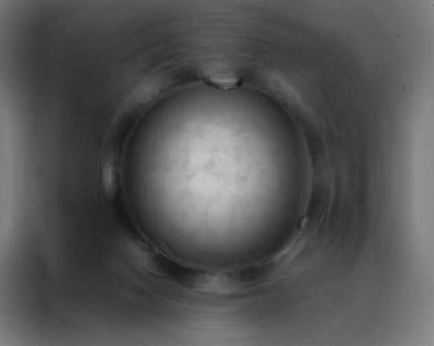X0000088190074200705221711
