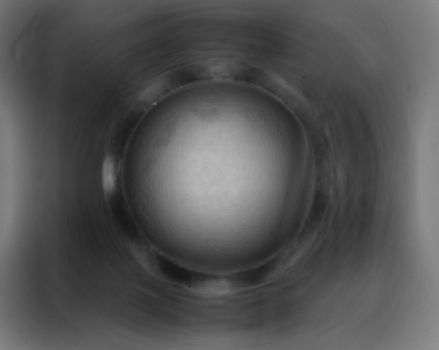 X0000088190075200705221711