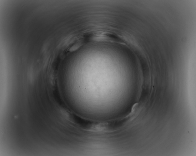 X0000088190078200705221711