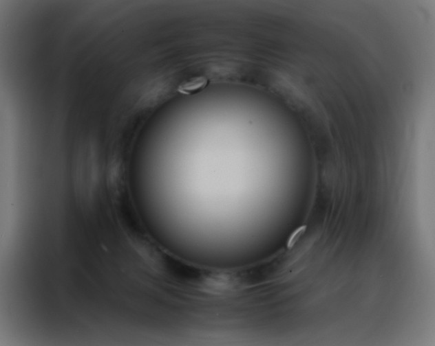 X0000088190079200705221711
