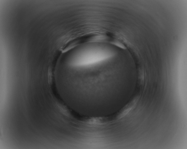 X0000088190080200705221711