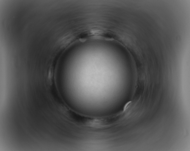 X0000088190082200705221711