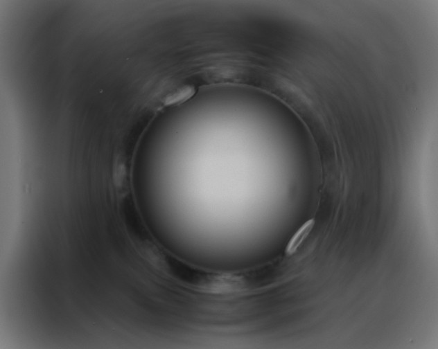 X0000088190087200705221711