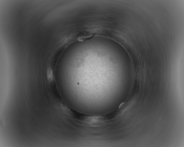 X0000088190089200705221711