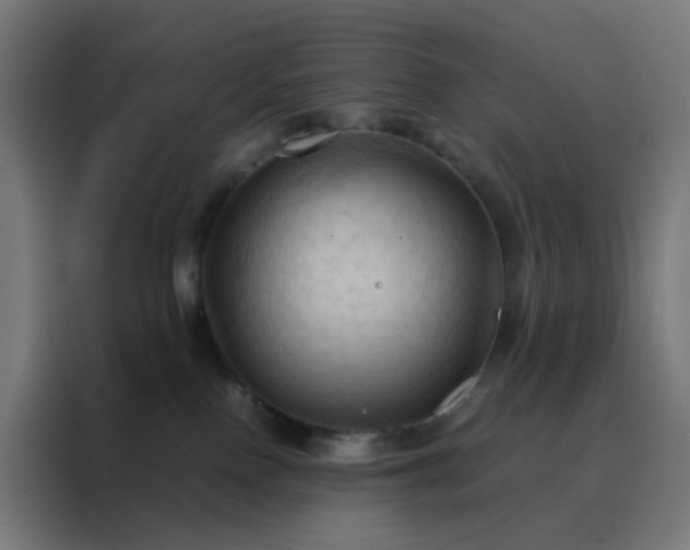X0000088190090200705221711
