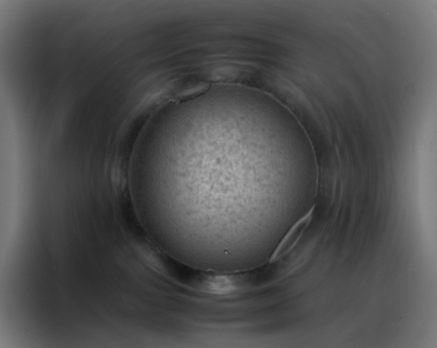 X0000088190091200705221711