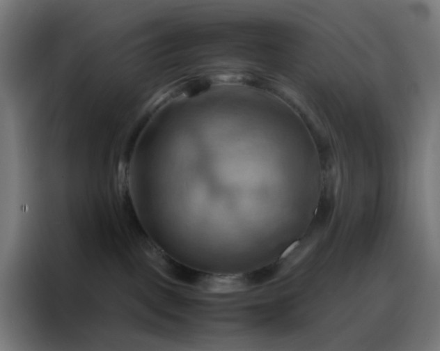 X0000088190093200705221711