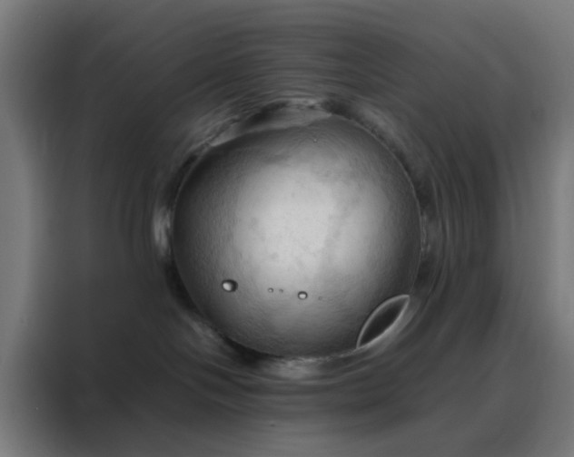 X0000088190094200705221711