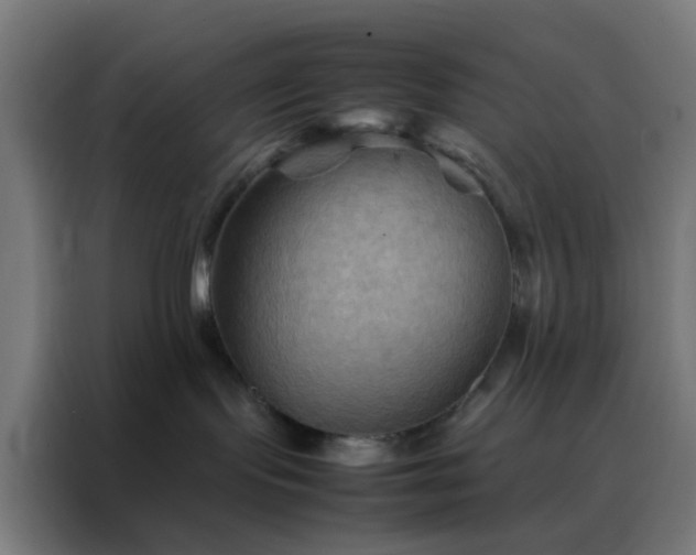X0000088190095200705221711