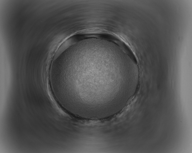 X0000088190097200705221710