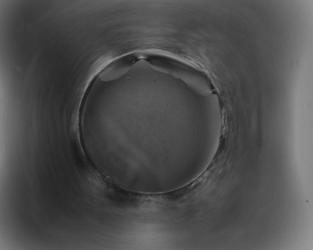 X0000088190099200705221710
