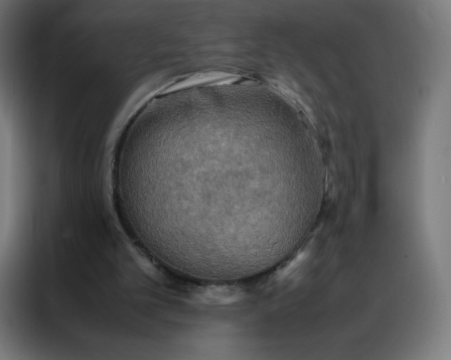 X0000088190101200705221710