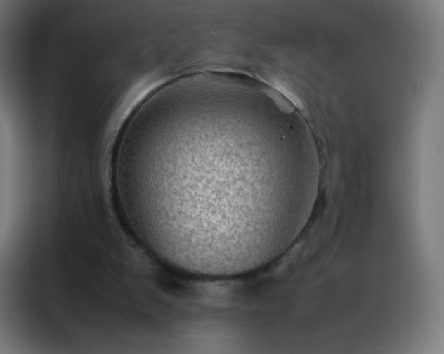 X0000088190103200705221710