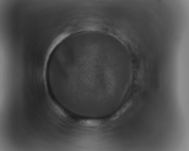 X0000088190104200705221710
