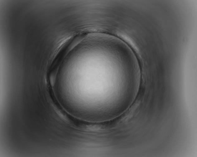 X0000088190105200705221710