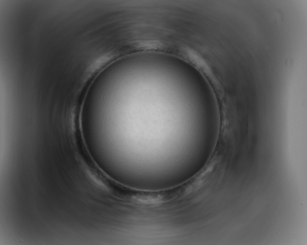 X0000088190106200705221710