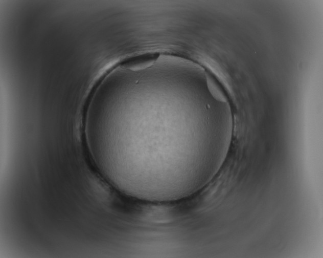 X0000088190107200705221710