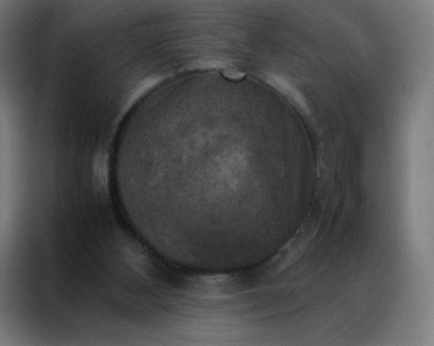 X0000088190108200705221710