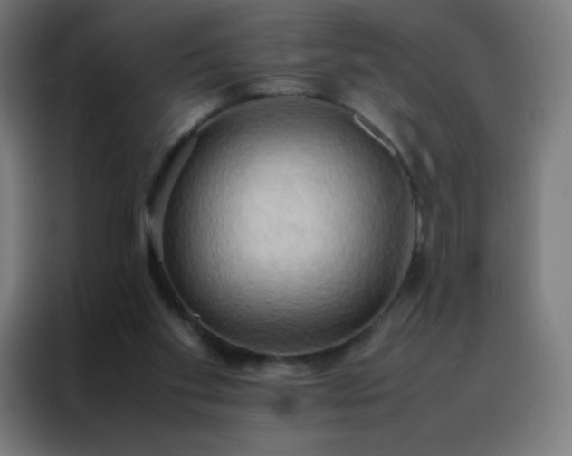 X0000088190109200705221710