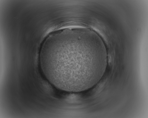 X0000088190111200705221710
