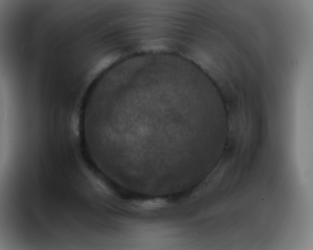 X0000088190112200705221710