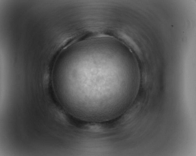 X0000088190113200705221710