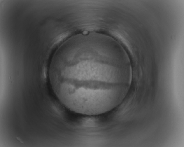X0000088190115200705221710
