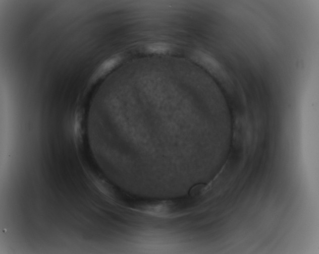 X0000088190116200705221710