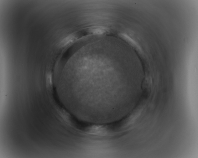 X0000088190117200705221710