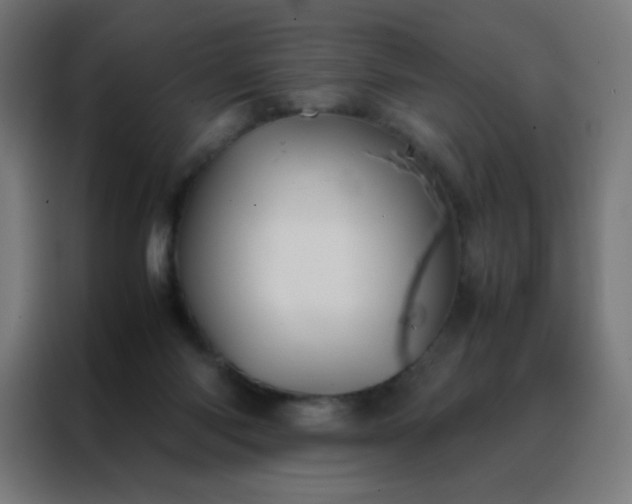 X0000088190118200705221710