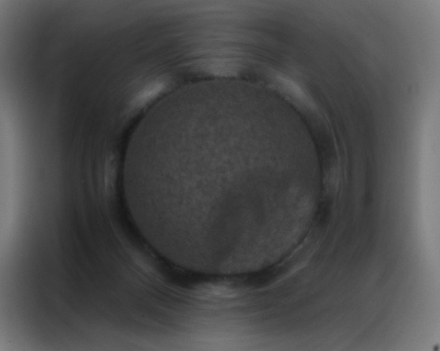 X0000088190120200705221710