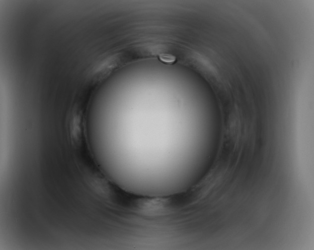 X0000088190122200705221710