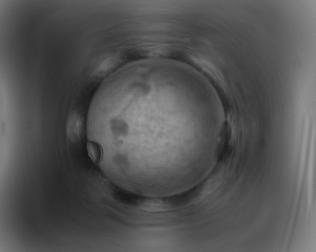 X0000088190123200705221710